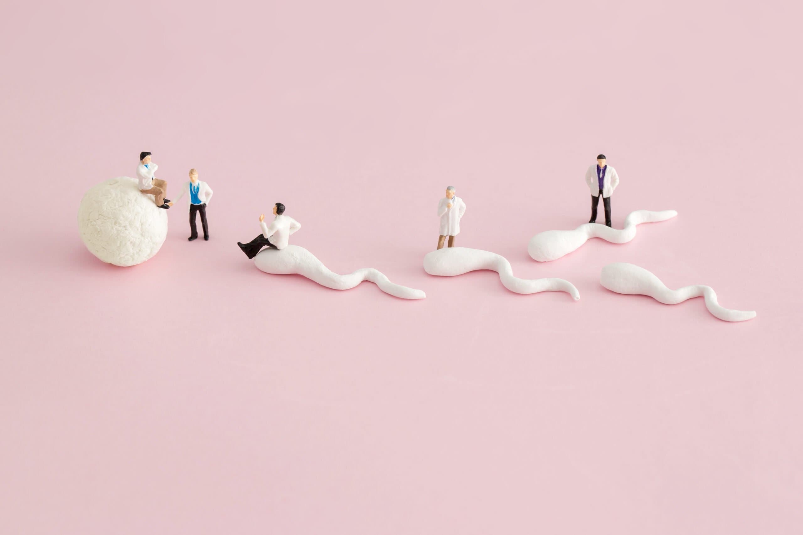 What is IVF or in Vitro Fertilization? 