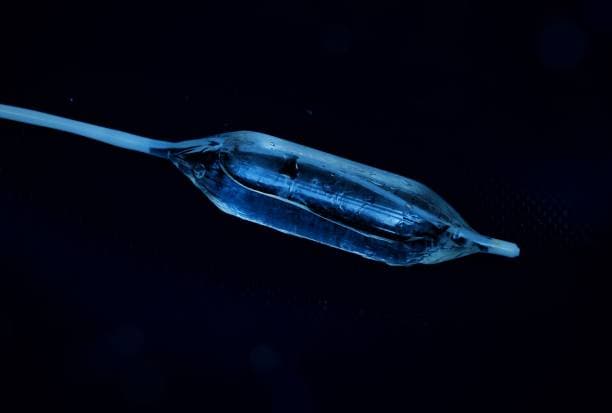 Aortic Surgery risks