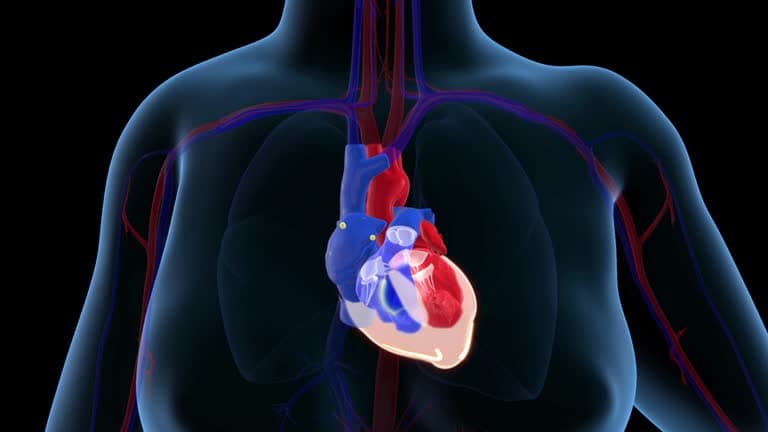 Arrhythmia Diagnosis Tests