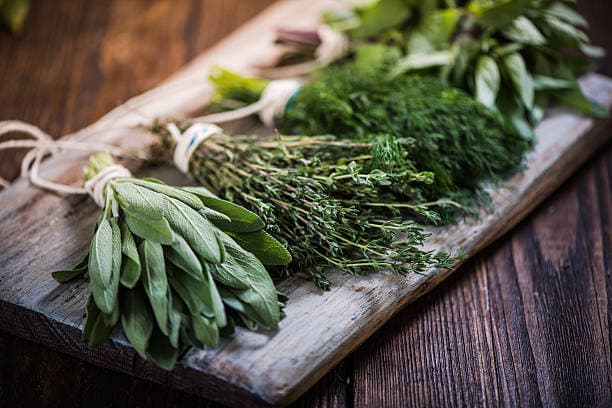 What does modern Herbal Medicine entail?