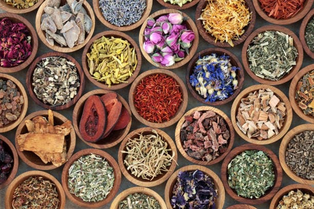 Is Herbal Medicine safe?