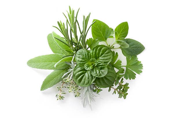 Herbal Medicine cost in Iran