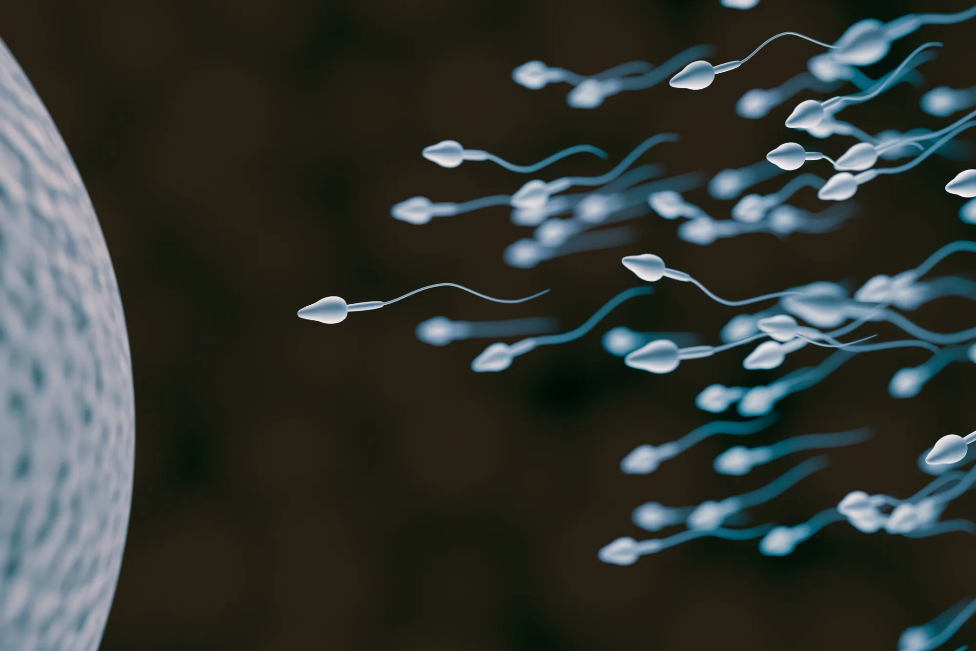 How Much Does Male Infertility Treatment Cost in Iran
