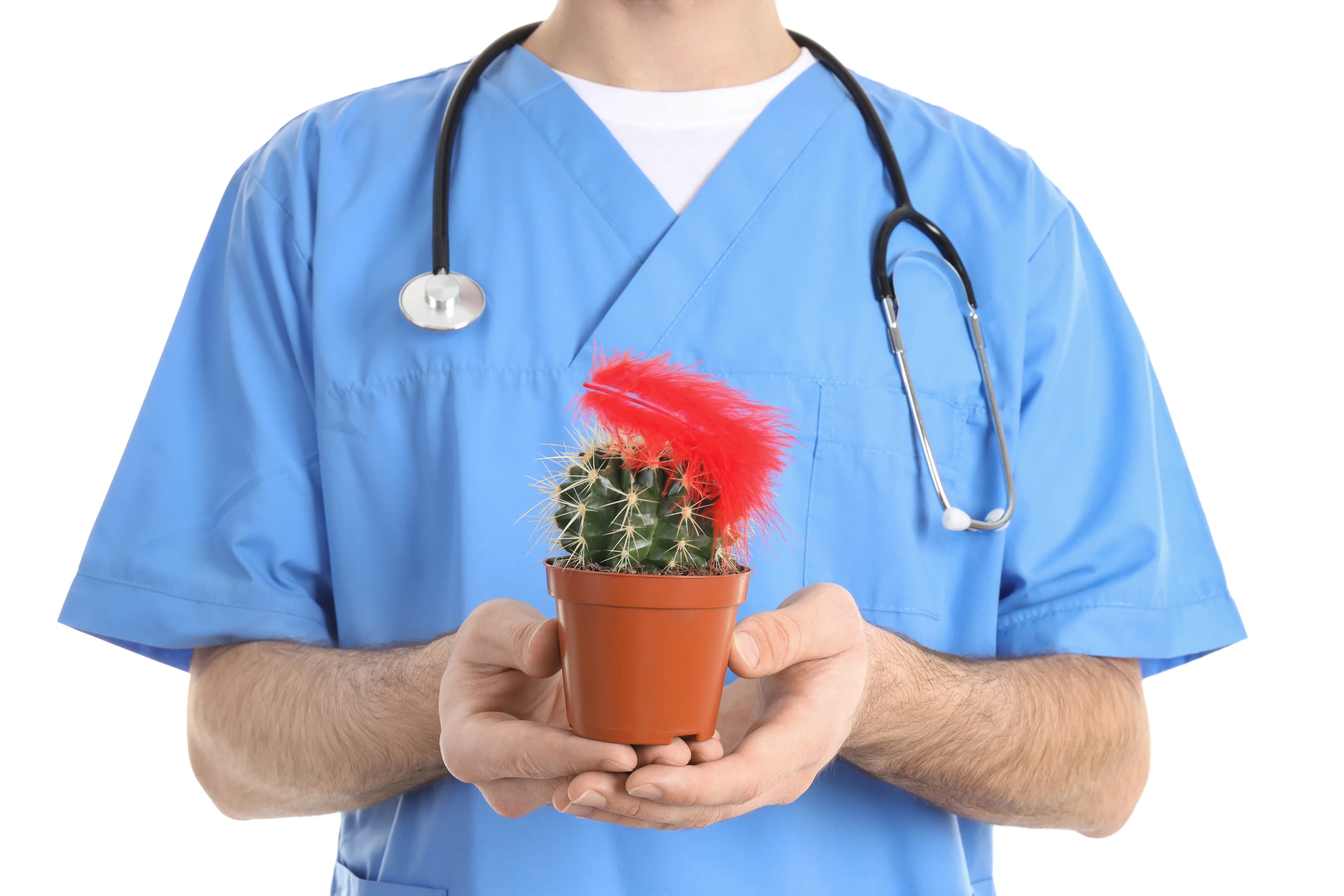 Hemorrhoid Removal Cost in Iran