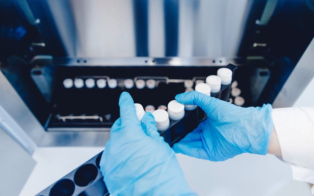 What is Egg donation? 