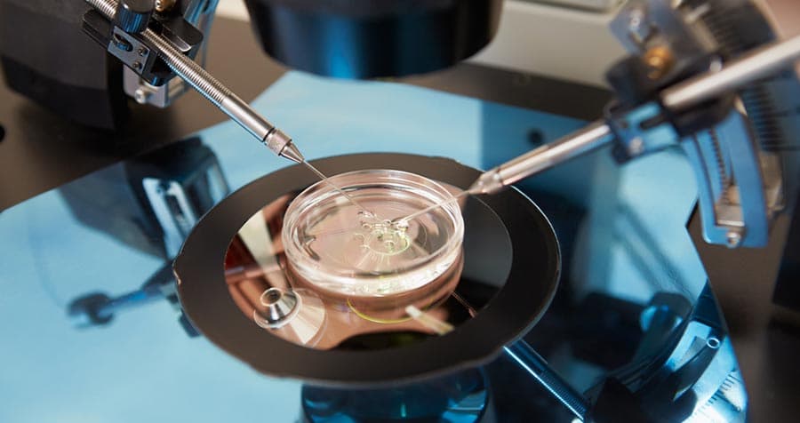 TESE Success Rates in Iran 