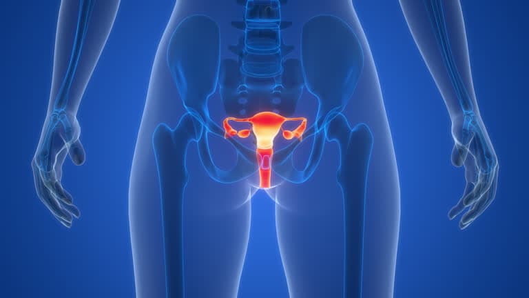 What is Pelvic Floor Reconstruction?