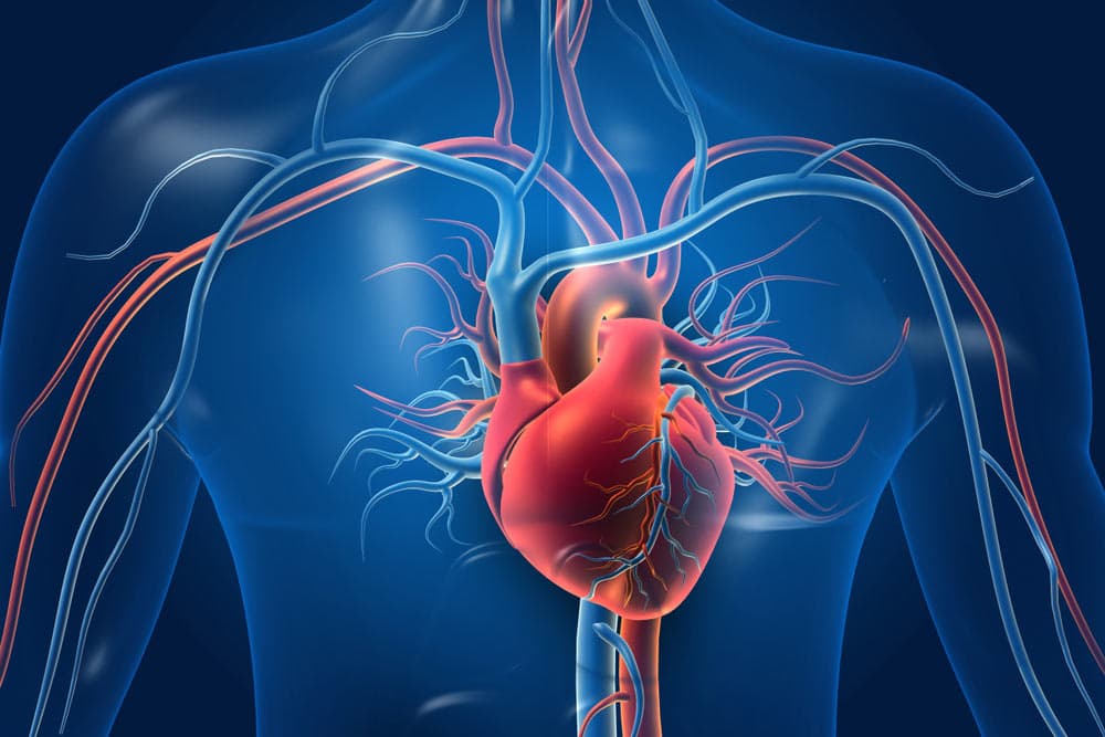 What is Aortic Surgery?