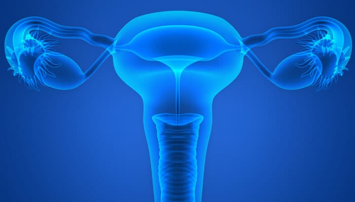 What are the Types of Hysterectomy?