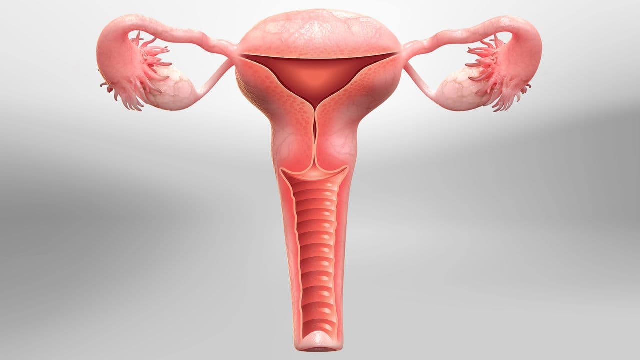 What are risks of Hysterectomy?