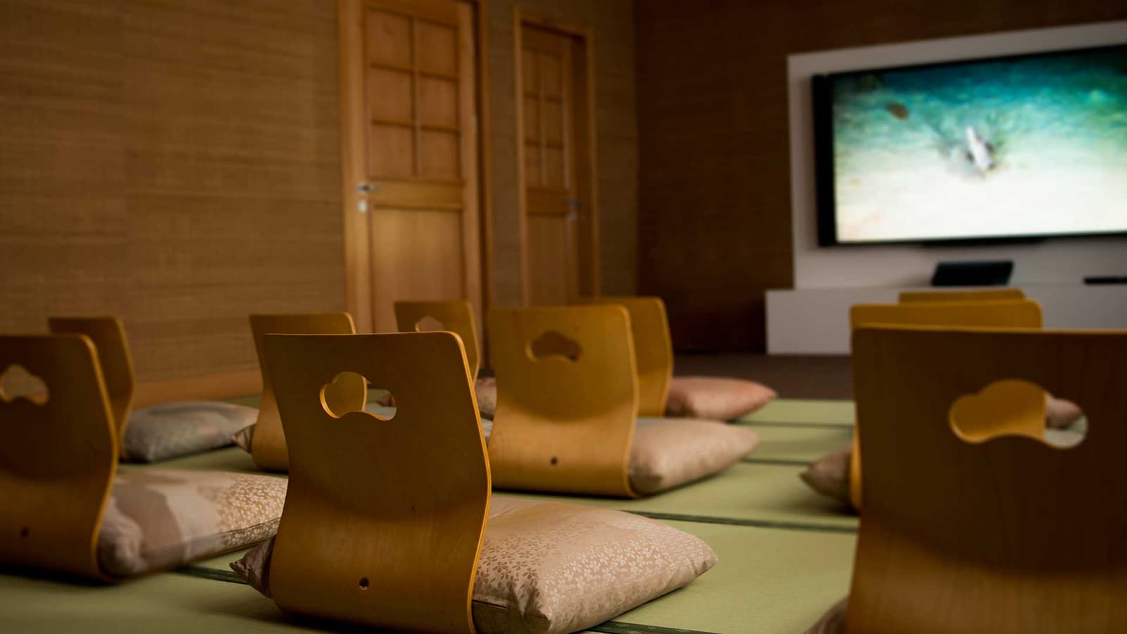 Reading Room and Mini Theater