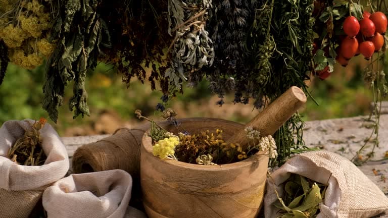 Naturopathy cost in Iran