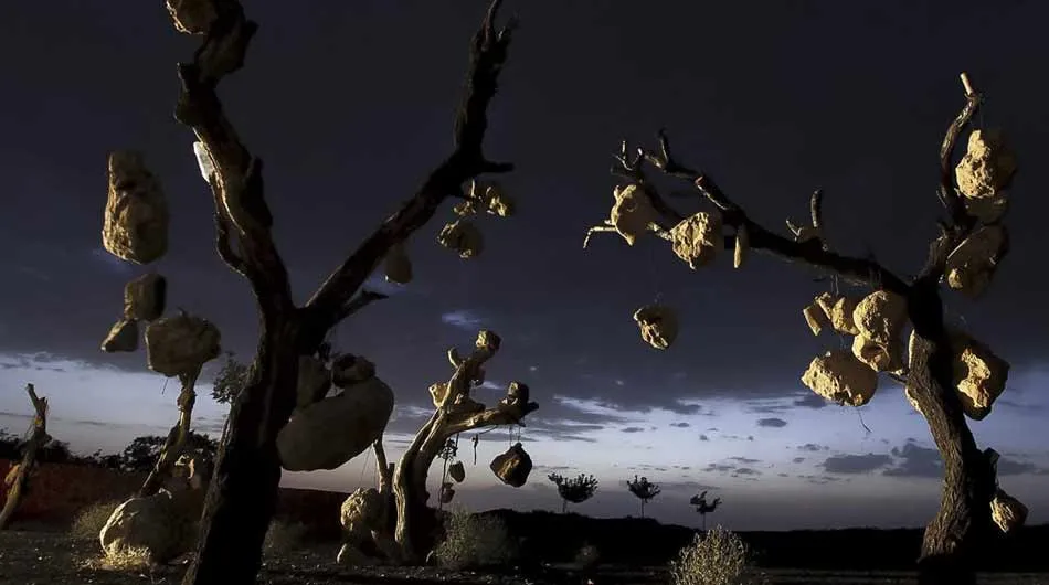 Shahzadeh Mahan Historical Garden of Kerman