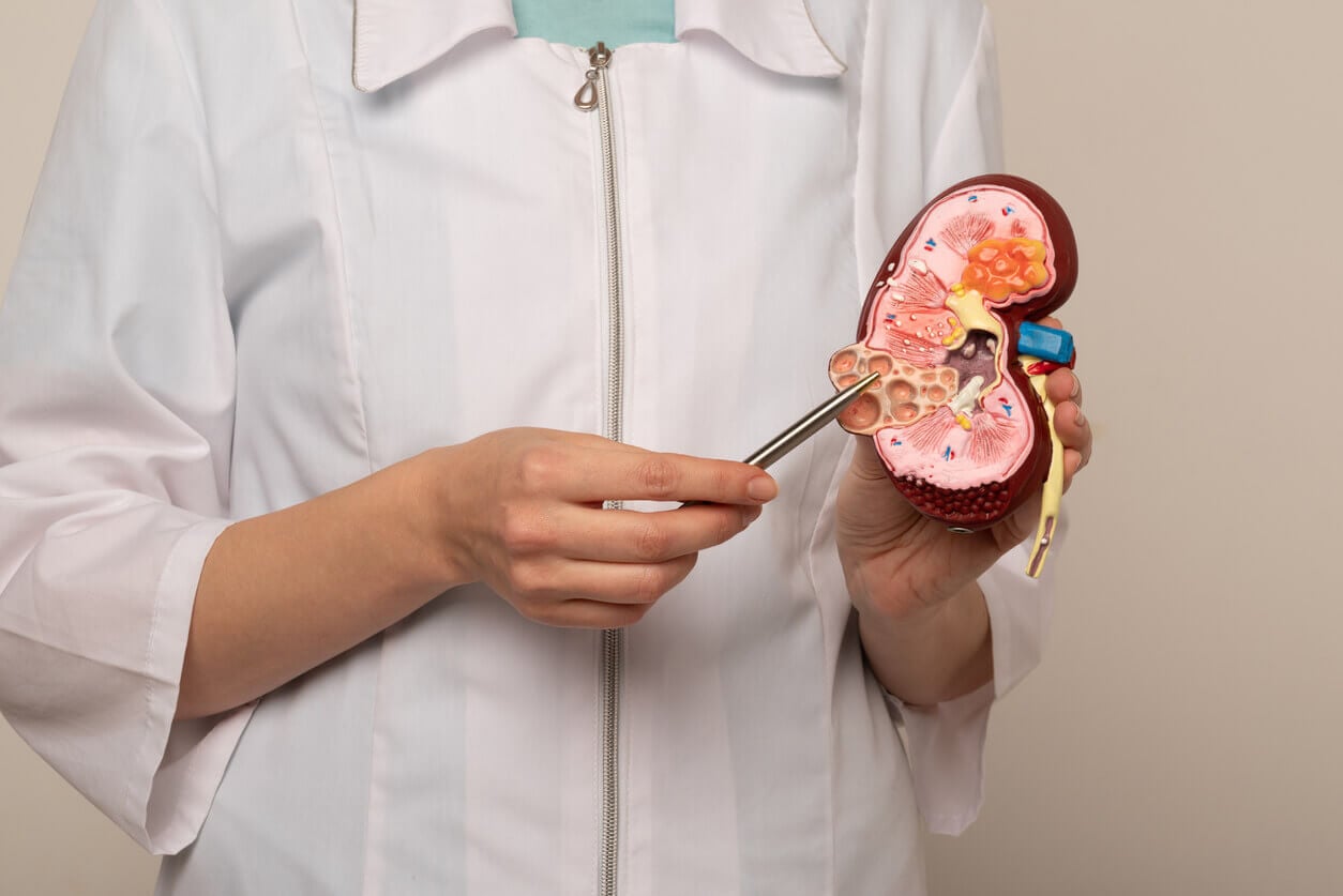 What are Nephrological Diseases?