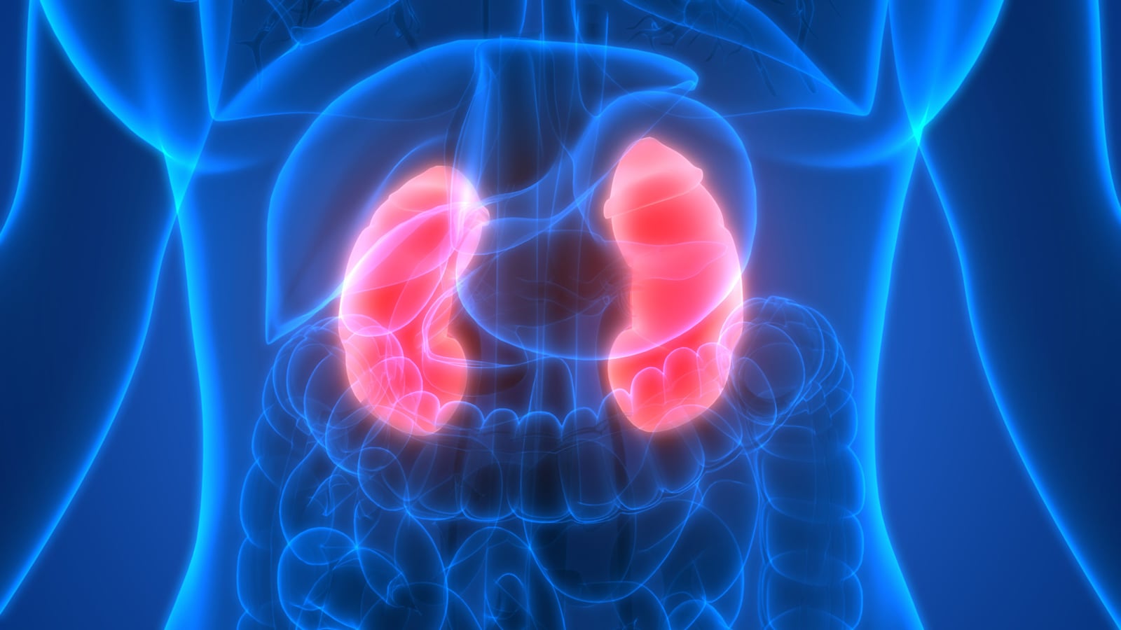 What is a Nephrectomy procedure?