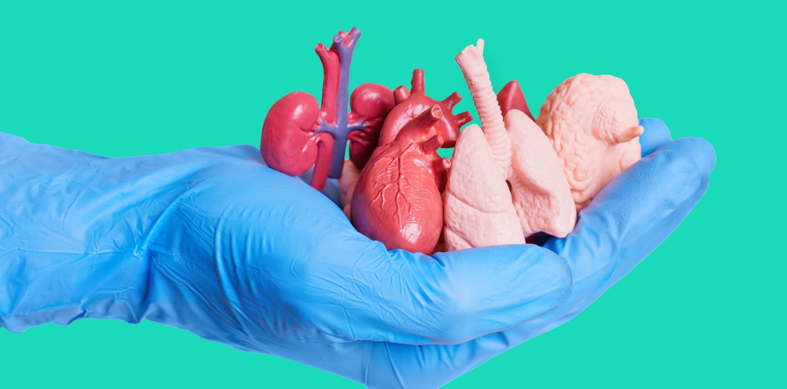 Which transplants are illegal in Iran?