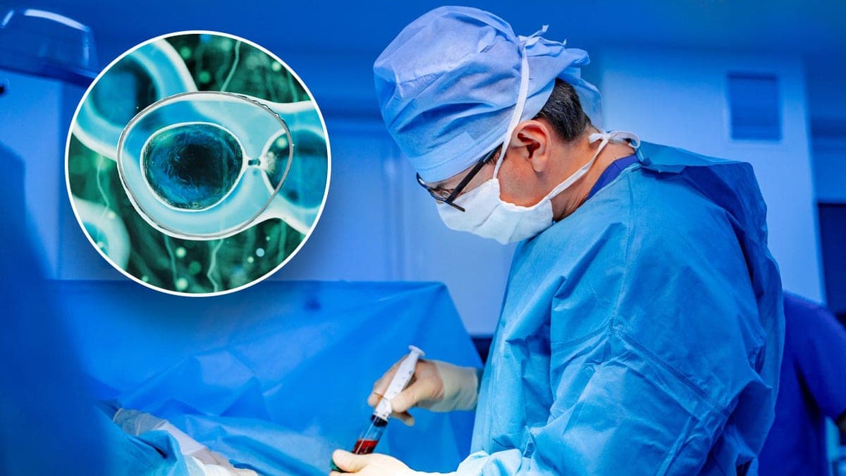 What is a bone marrow transplant?