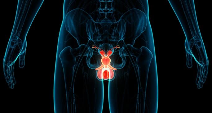 What is orchiectomy?