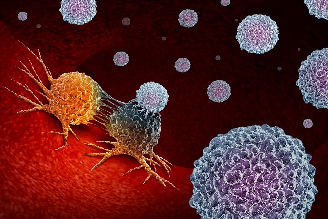 What happens during immunotherapy?
