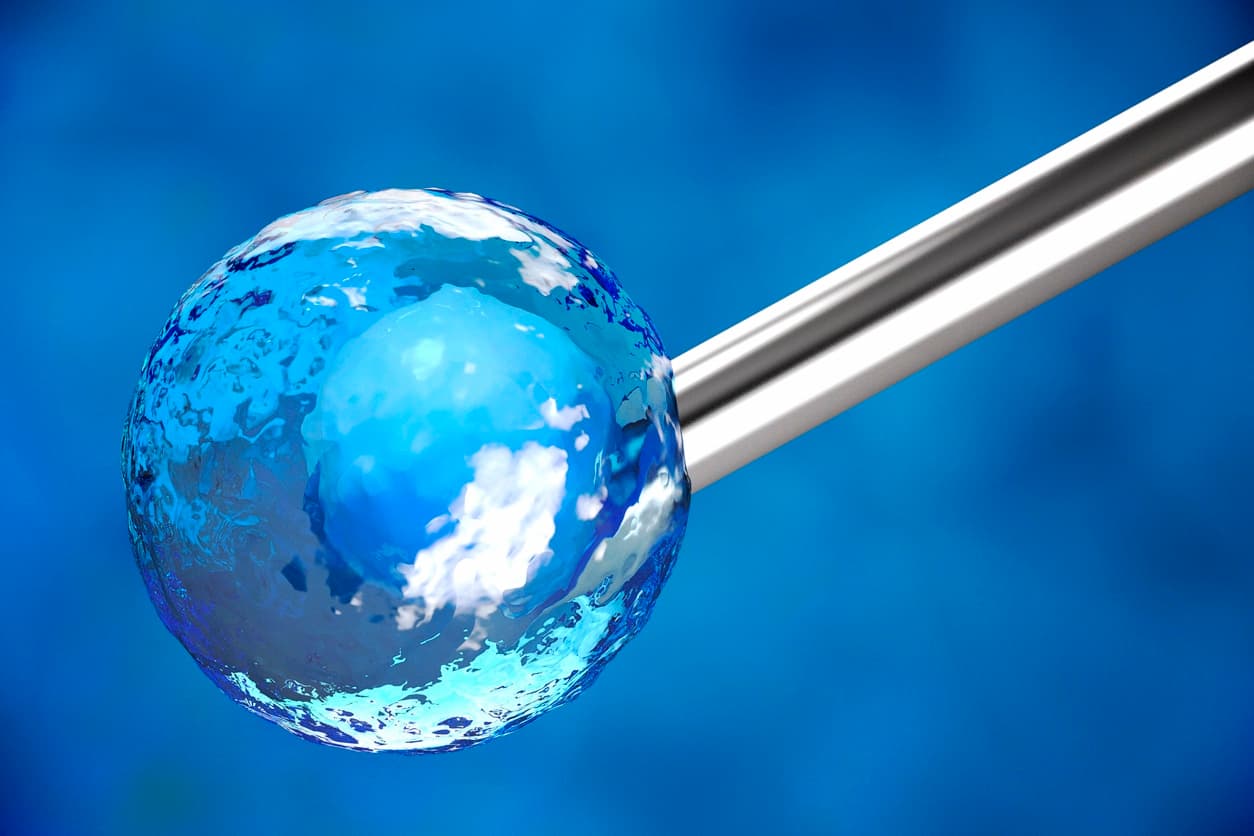 What Are Stem Cells?