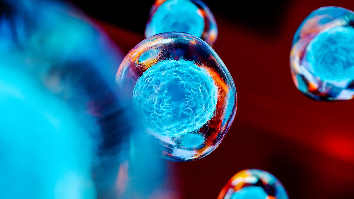 Stem cell therapy for cancer treatment