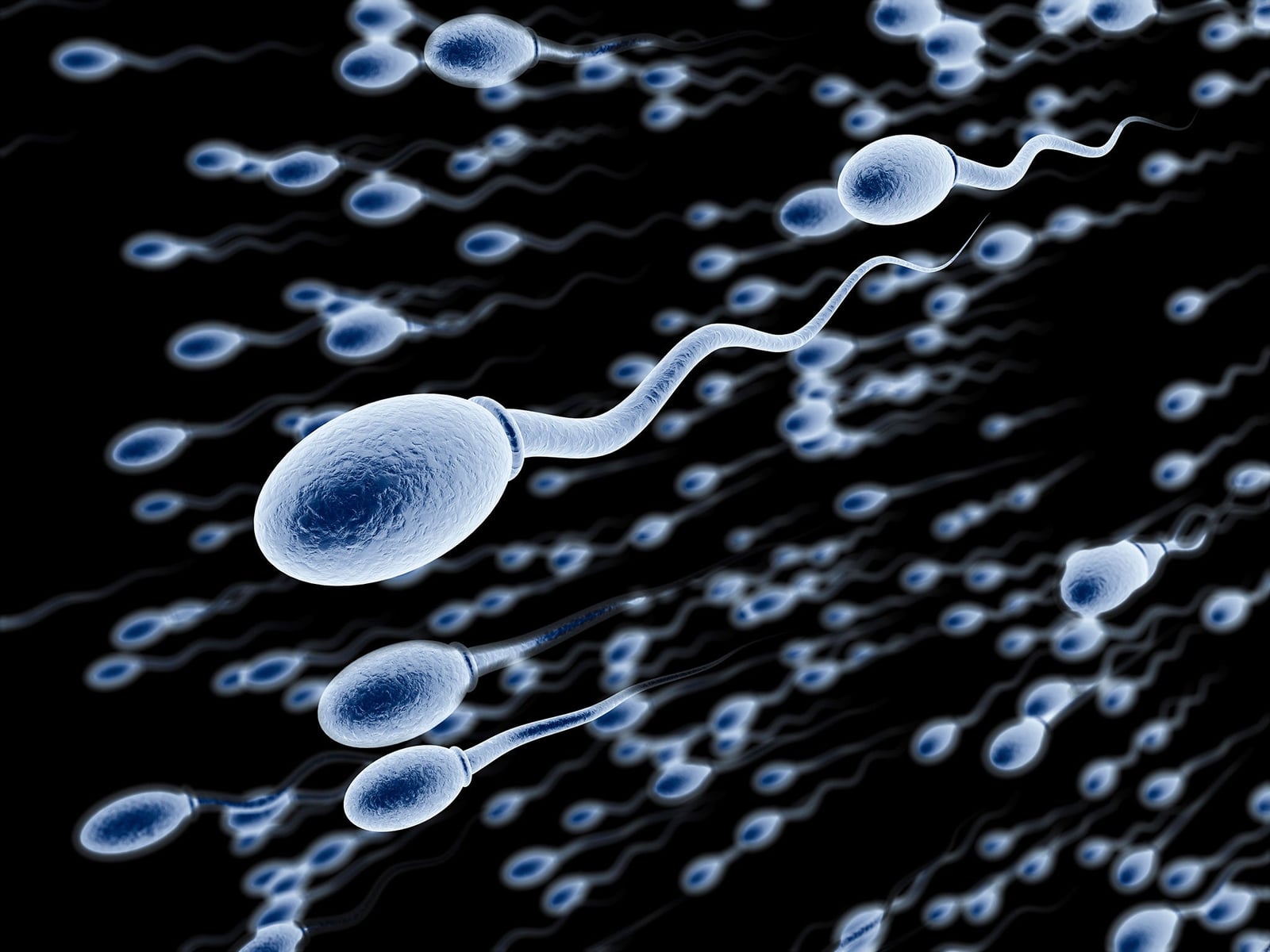 What does it take to become a sperm donor?