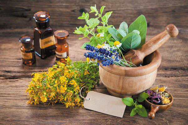 Herbal medicine and dietary supplements