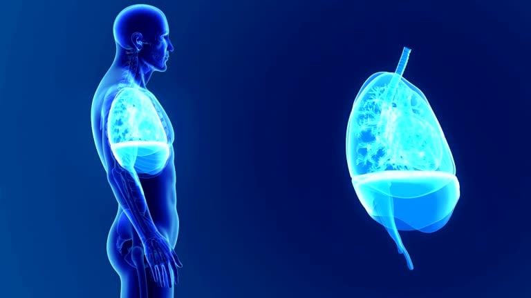 Everything you need to know about lung transplant