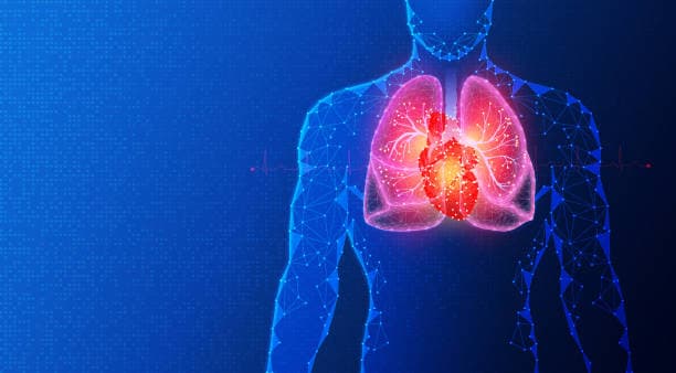 Lung transplant procedure steps