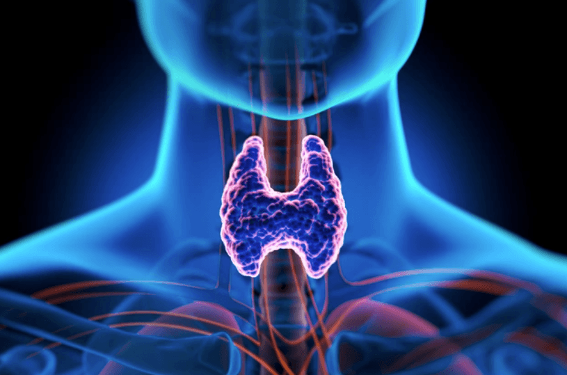 What happens during a laryngectomy?