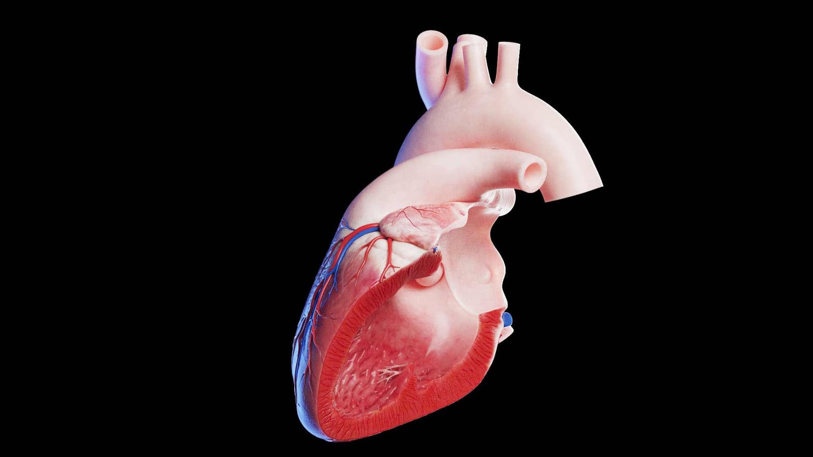 How is congenital heart defect diagnosed?