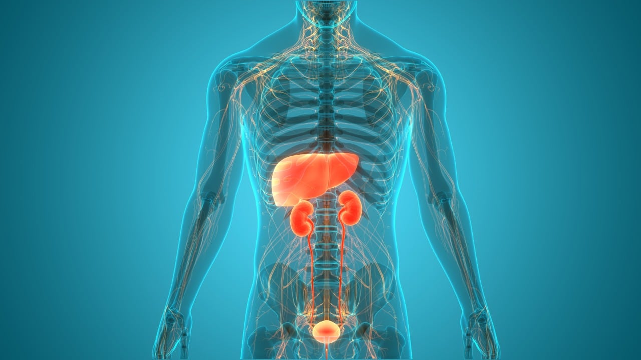 Who might need a combined liver-kidney transplantation?