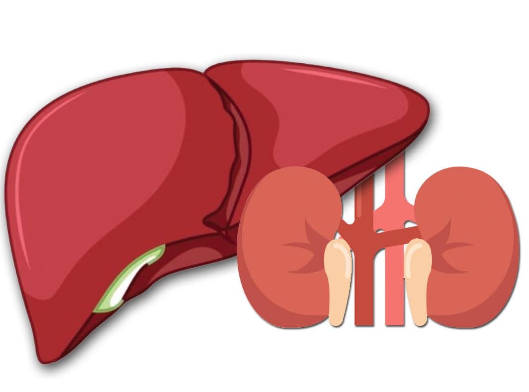 What happens before a combined liver-kidney transplant?