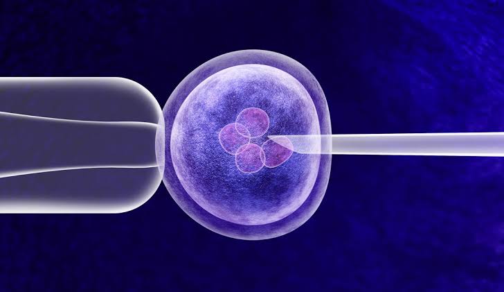 IUI vs. IVF