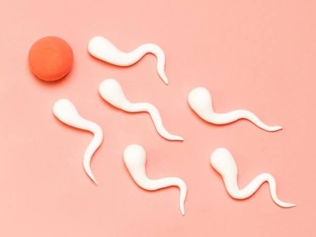 What is IUI (Intrauterine Insemination)?