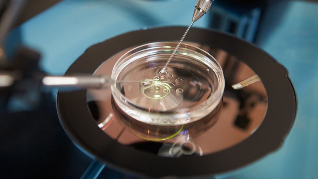 ICSI vs. IVF