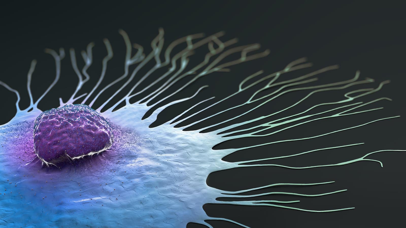 Why Is a Biopsy Performed?