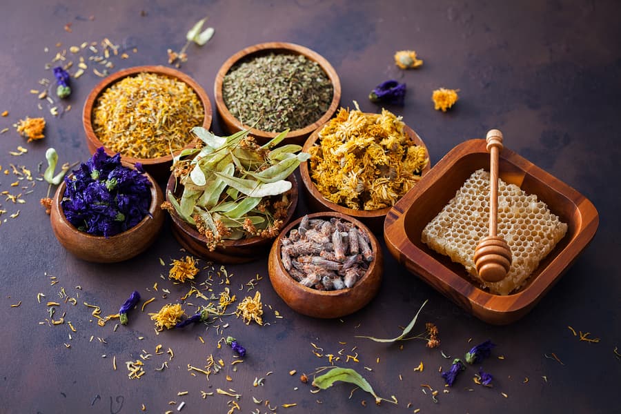 What Is Herbal Medicine?