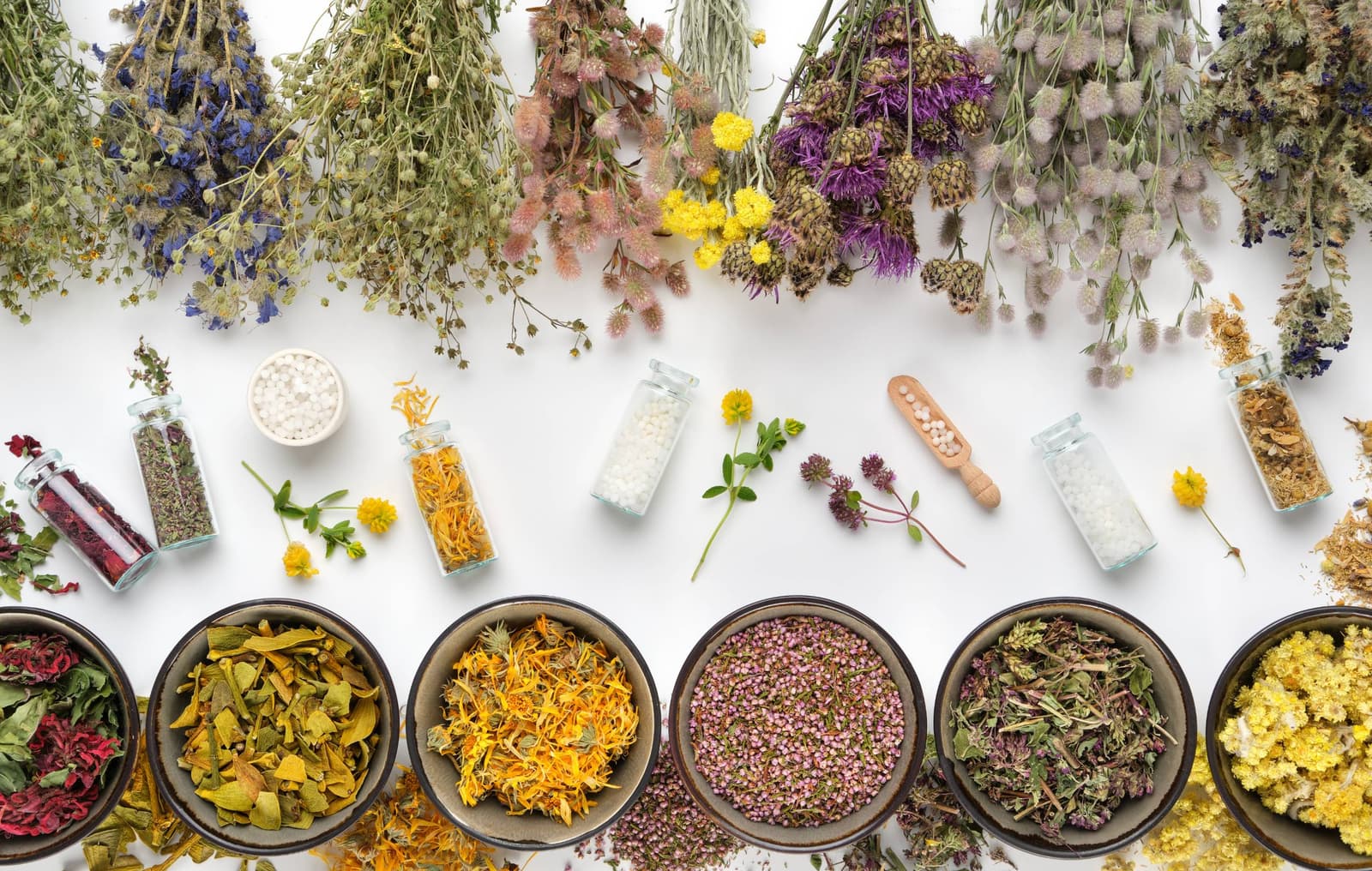 Are Herbal Medicines Safe?