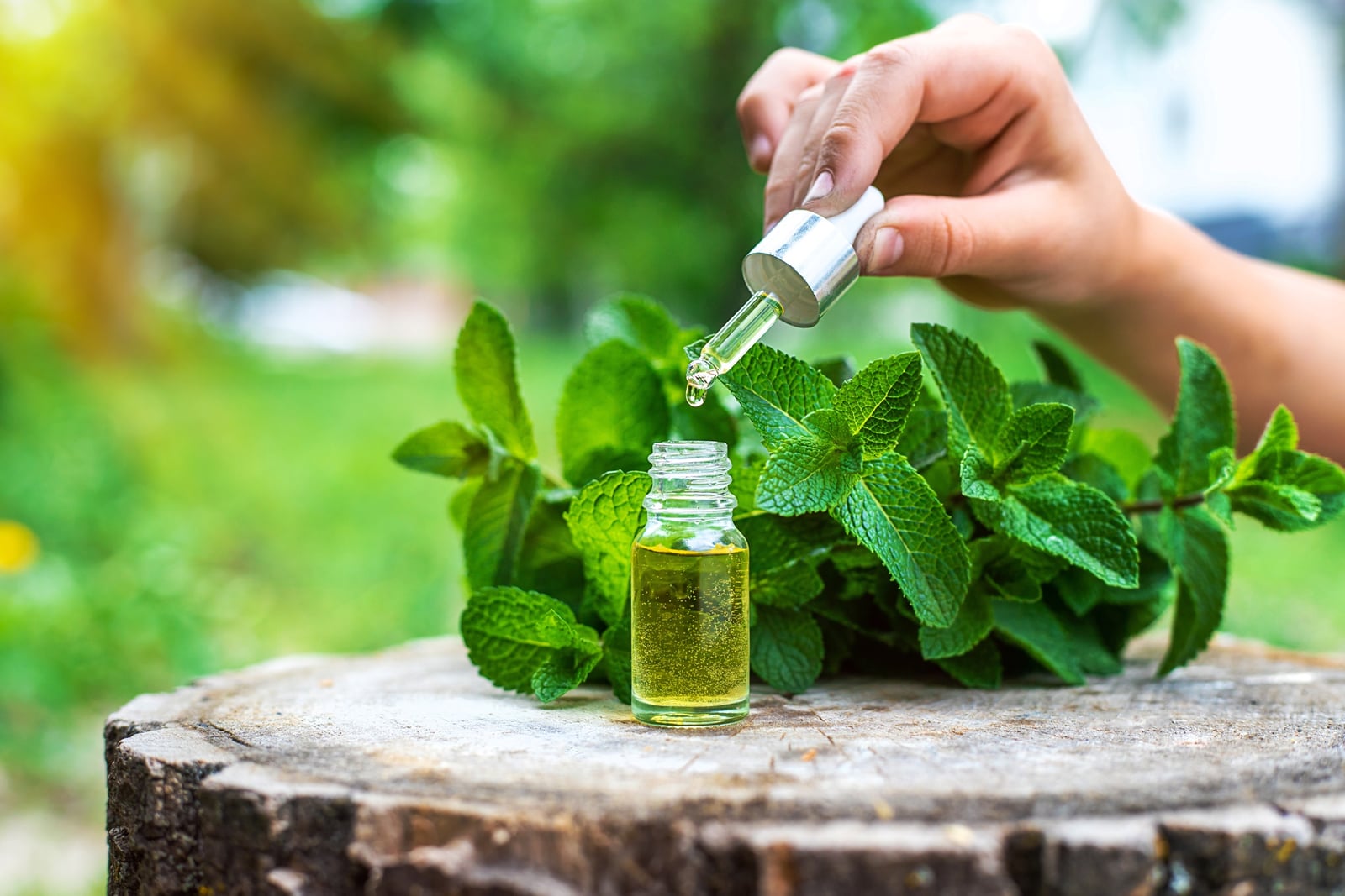 What can Herbal Medicine be used for?