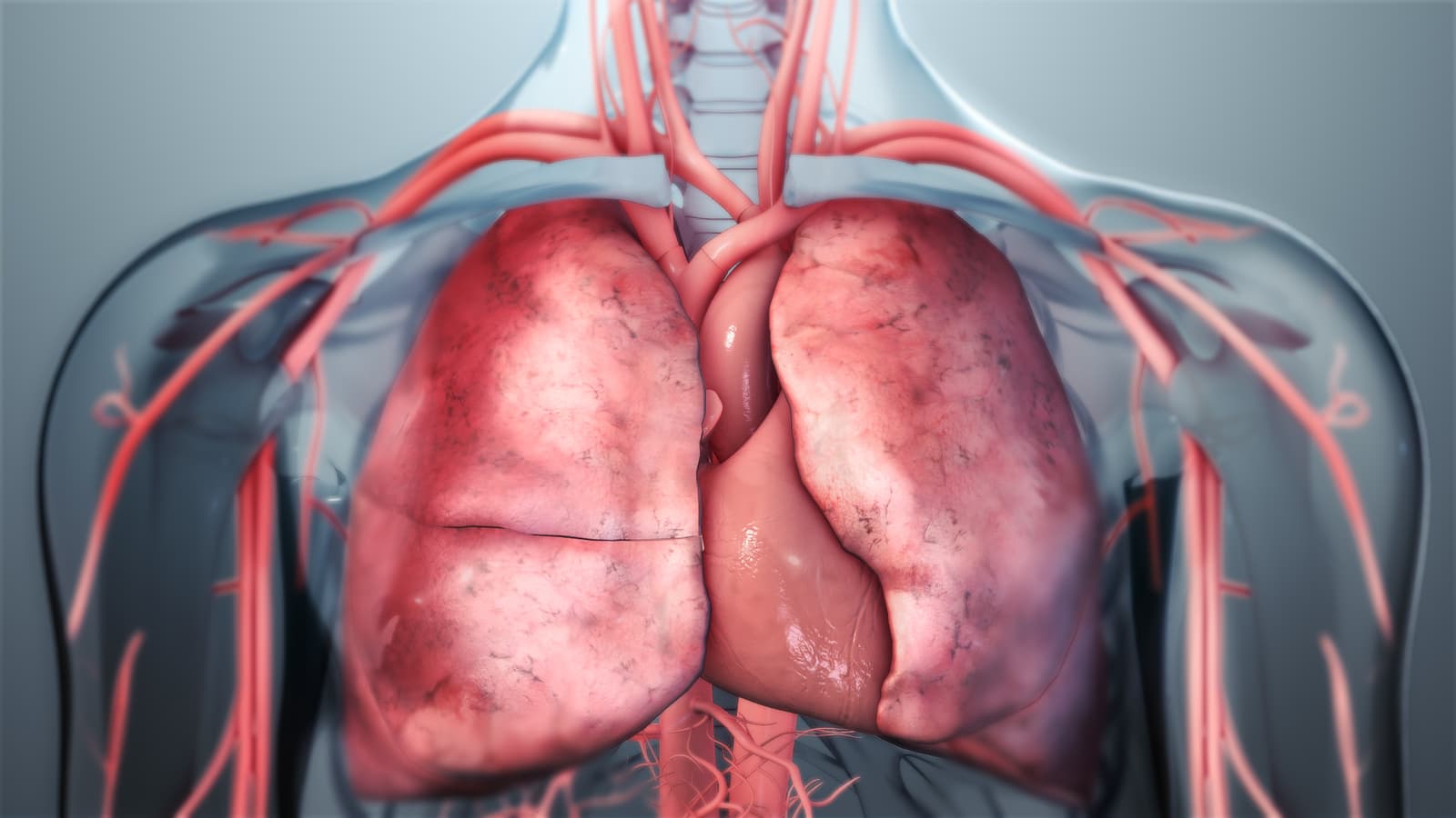 Can Emphysema & Chronic Bronchitis be prevented?