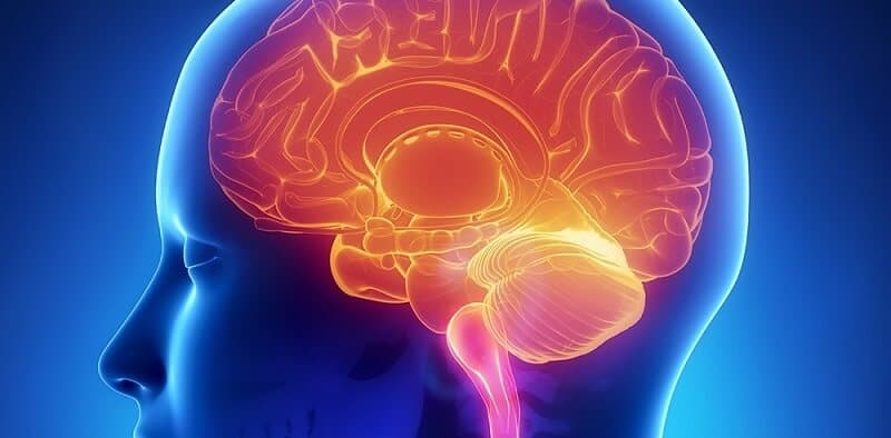 What Happens Before Cerebrovascular Surgery?